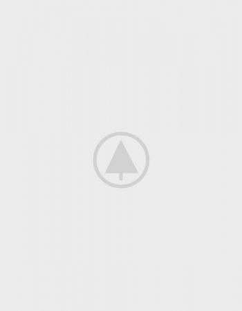 wood-gallery-placeholder-4 wood-gallery-placeholder-4